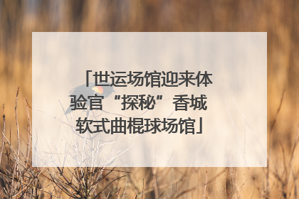 世运场馆迎来体验官“探秘”香城软式曲棍球场馆