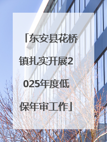 东安县花桥镇扎实开展2025年度低保年审工作
