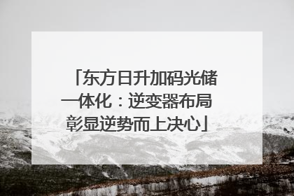 东方日升加码光储一体化：逆变器布局彰显逆势而上决心