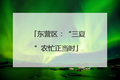东营区：“三夏”农忙正当时