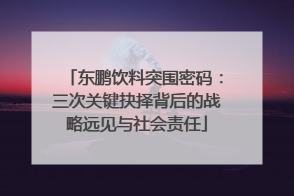 东鹏饮料突围密码：三次关键抉择背后的战略远见与社会责任