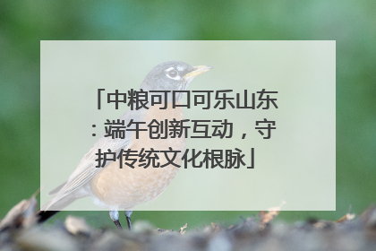 中粮可口可乐山东：端午创新互动，守护传统文化根脉