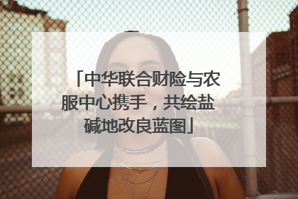 中华联合财险与农服中心携手，共绘盐碱地改良蓝图