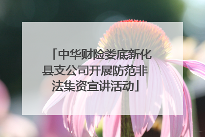 中华财险娄底新化县支公司开展防范非法集资宣讲活动