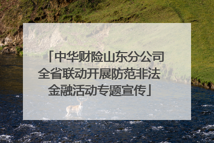 中华财险山东分公司全省联动开展防范非法金融活动专题宣传