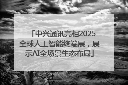 中兴通讯亮相2025全球人工智能终端展，展示AI全场景生态布局