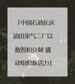 中国石油长庆油田采气二厂以数智积分制 撬动组织新活力