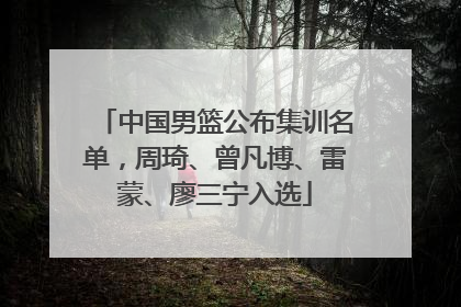 中国男篮公布集训名单，周琦、曾凡博、雷蒙、廖三宁入选