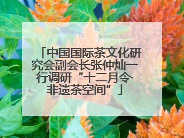 中国国际茶文化研究会副会长张仲灿一行调研“十二月令·非遗茶空间”