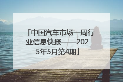 中国汽车市场一周行业信息快报——2025年5月第4期