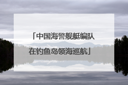 中国海警舰艇编队在钓鱼岛领海巡航