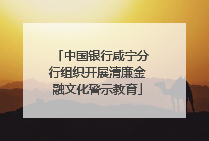 中国银行咸宁分行组织开展清廉金融文化警示教育