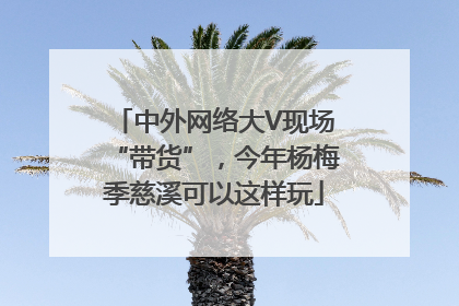 中外网络大V现场“带货”，今年杨梅季慈溪可以这样玩