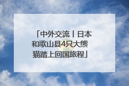 中外交流丨日本和歌山县4只大熊猫踏上回国旅程