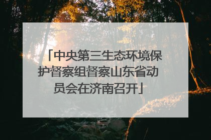 中央第三生态环境保护督察组督察山东省动员会在济南召开