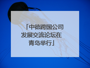 中德跨国公司发展交流论坛在青岛举行