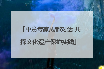 中意专家成都对话 共探文化遗产保护实践