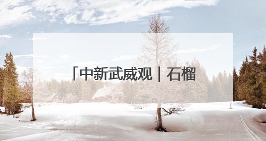中新武威观｜石榴同心 筑梦凉州