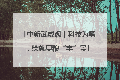 中新武威观｜科技为笔，绘就夏粮“丰”景