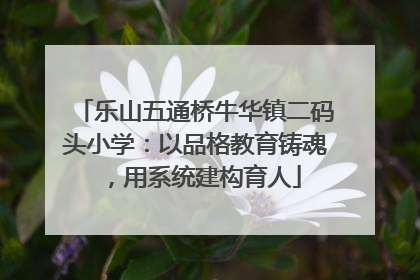 乐山五通桥牛华镇二码头小学：以品格教育铸魂，用系统建构育人