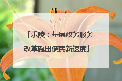 乐陵：基层政务服务改革跑出便民新速度