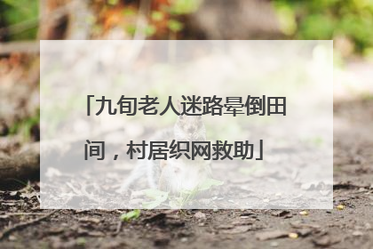 九旬老人迷路晕倒田间，村居织网救助