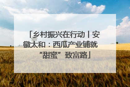 乡村振兴在行动丨安徽太和：西瓜产业铺就“甜蜜”致富路
