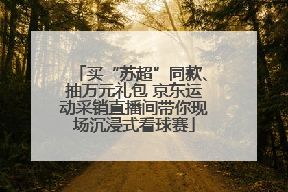 买“苏超”同款、抽万元礼包 京东运动采销直播间带你现场沉浸式看球赛