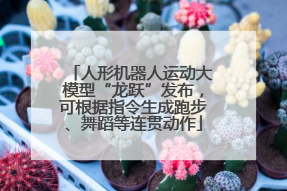 人形机器人运动大模型“龙跃”发布，可根据指令生成跑步、舞蹈等连贯动作