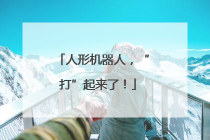 人形机器人，“打”起来了！