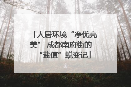 人居环境“净优亮美” 成都南府街的“盐值”蜕变记