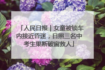 人民日报｜女童被锁车内接近昏迷，日照三名中考生果断破窗救人