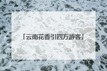 云南花香引四方游客