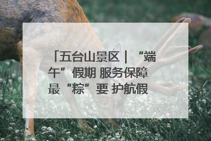 五台山景区｜“端午”假期 服务保障最“粽”要 护航假期“不打烊”