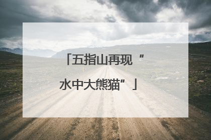 五指山再现“水中大熊猫”