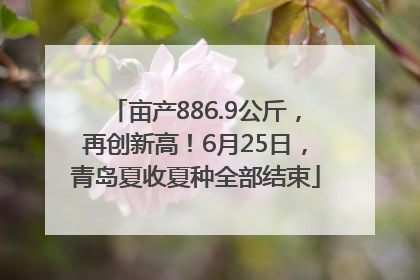 亩产886.9公斤，再创新高！6月25日，青岛夏收夏种全部结束