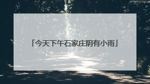 今天下午石家庄阴有小雨