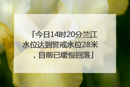 今日14时20分兰江水位达到警戒水位28米，目前已缓慢回落