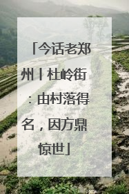 今话老郑州丨杜岭街：由村落得名，因方鼎惊世