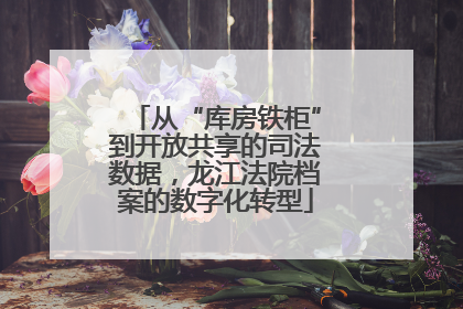 从“库房铁柜”到开放共享的司法数据，龙江法院档案的数字化转型