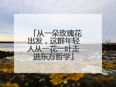 从一朵玫瑰花出发，这群年轻人从一花一叶走进东方哲学