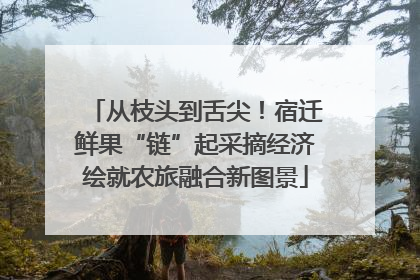 从枝头到舌尖！宿迁鲜果“链”起采摘经济绘就农旅融合新图景