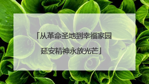 从革命圣地到幸福家园 延安精神永放光芒