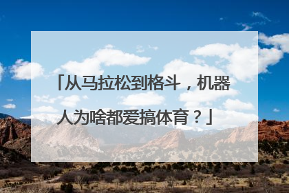 从马拉松到格斗，机器人为啥都爱搞体育？