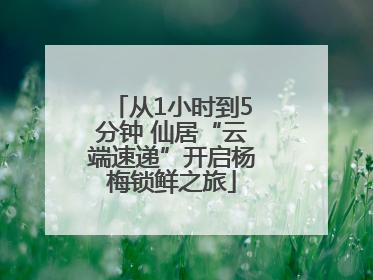 从1小时到5分钟 仙居“云端速递”开启杨梅锁鲜之旅