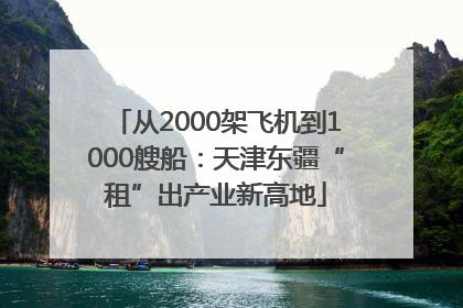 从2000架飞机到1000艘船：天津东疆“租”出产业新高地