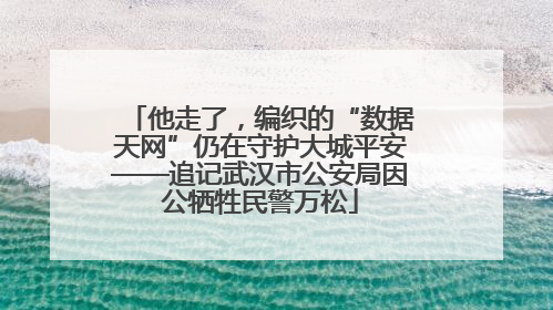 他走了，编织的“数据天网”仍在守护大城平安——追记武汉市公安局因公牺牲民警万松
