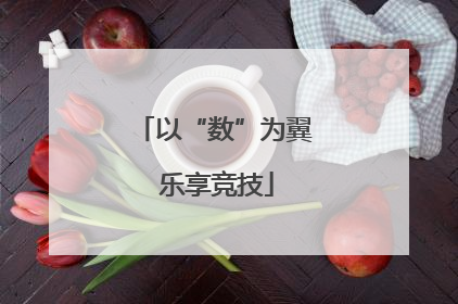 以“数”为翼 乐享竞技