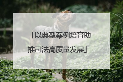 以典型案例培育助推司法高质量发展