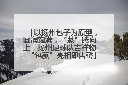 以扬州包子为原型，圆润饱满，“蒸”腾向上，扬州足球队吉祥物“包赢”亮相即售罄